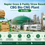 Napier Grass, Paddy Straw Based CBG Bio CNG Plant in India