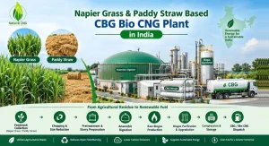 Napier Grass, Paddy Straw Based CBG Bio CNG Plant in India